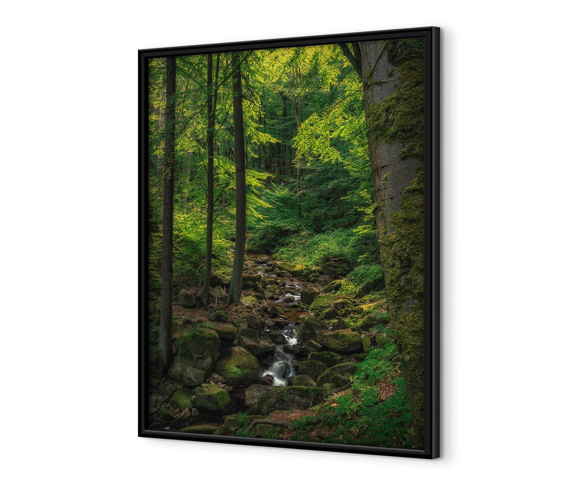 Sunlit Forest Stream Flowing Over Mossy Rocks In Green Woodland Poster - Image 4
