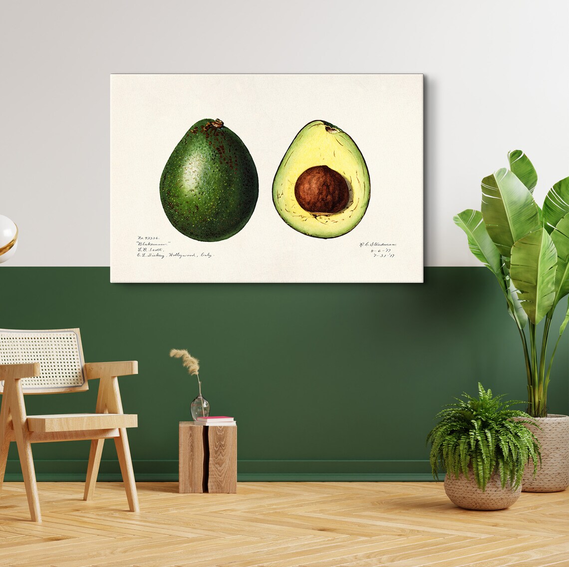 Charles Steadman Vintage Avocado Botanical Print - Image 5