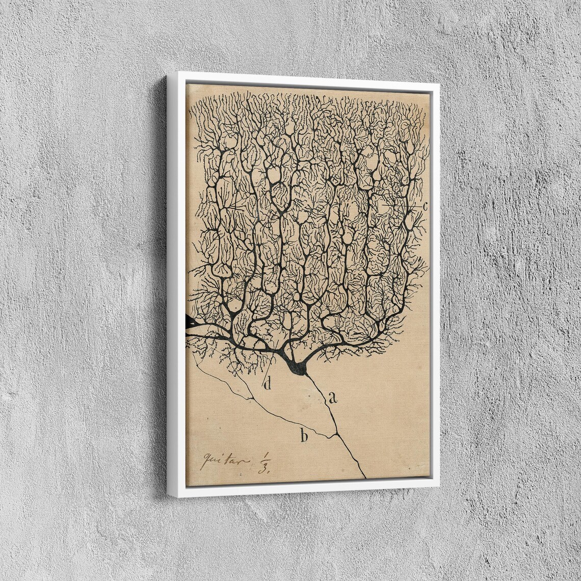 Neurons by Santiago Ramon y Cajal, Vintage Anatomy Print - Image 6