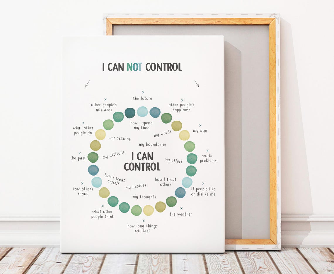 Things I Can Control Poster Therapy Office Circle Mental Health Coping - Image 2
