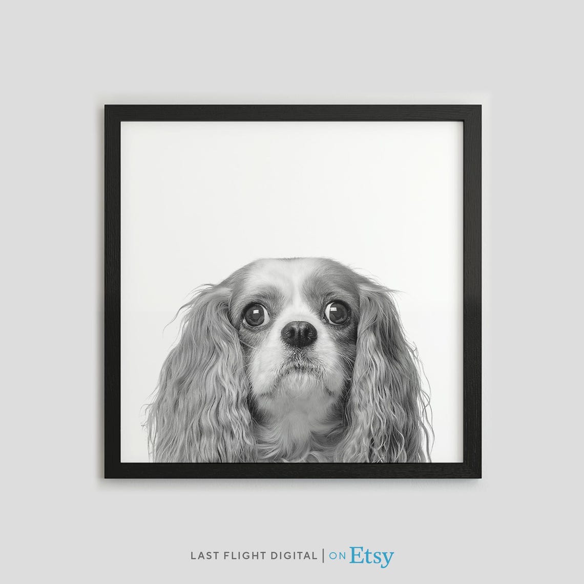 Cavalier King Charles Spaniel Black White Pet Portrait Dog Poster