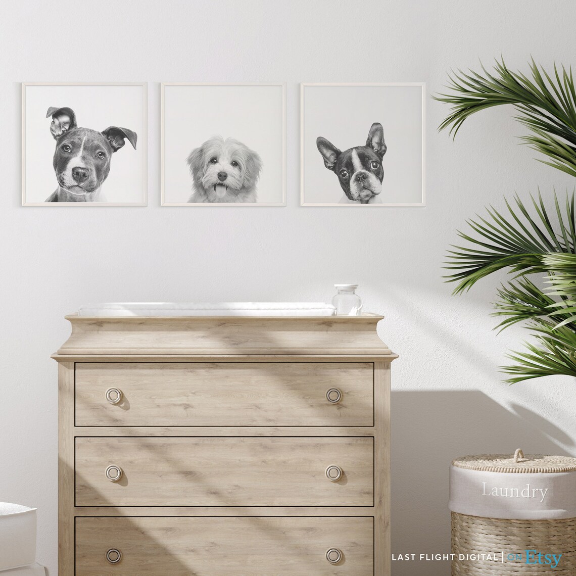 Havanese Dog Poster, Nursery and Kids Room Art Print - Image 3