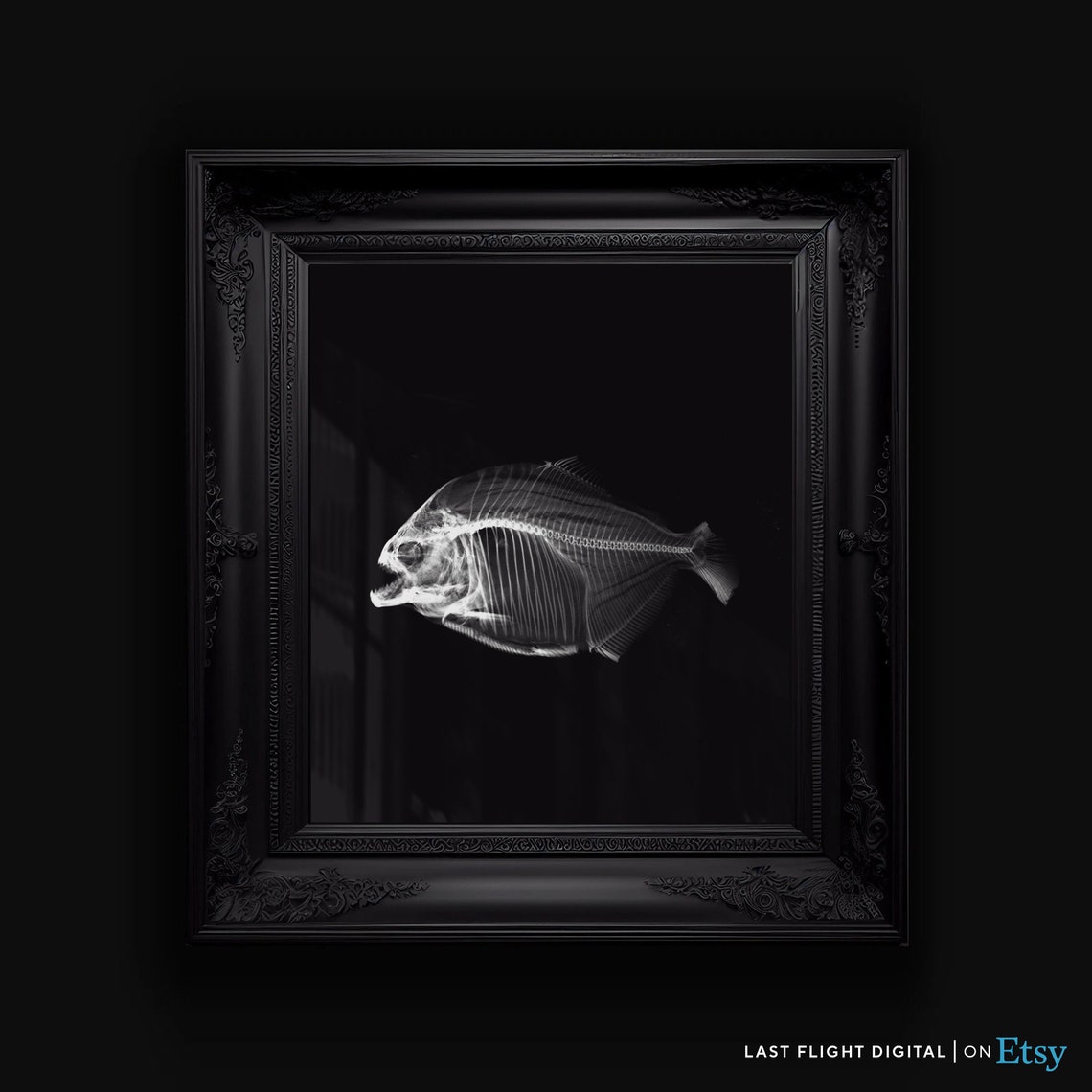 Piranha X Ray Fish Skeleton Art Black Background Ocean Poster - Image 2
