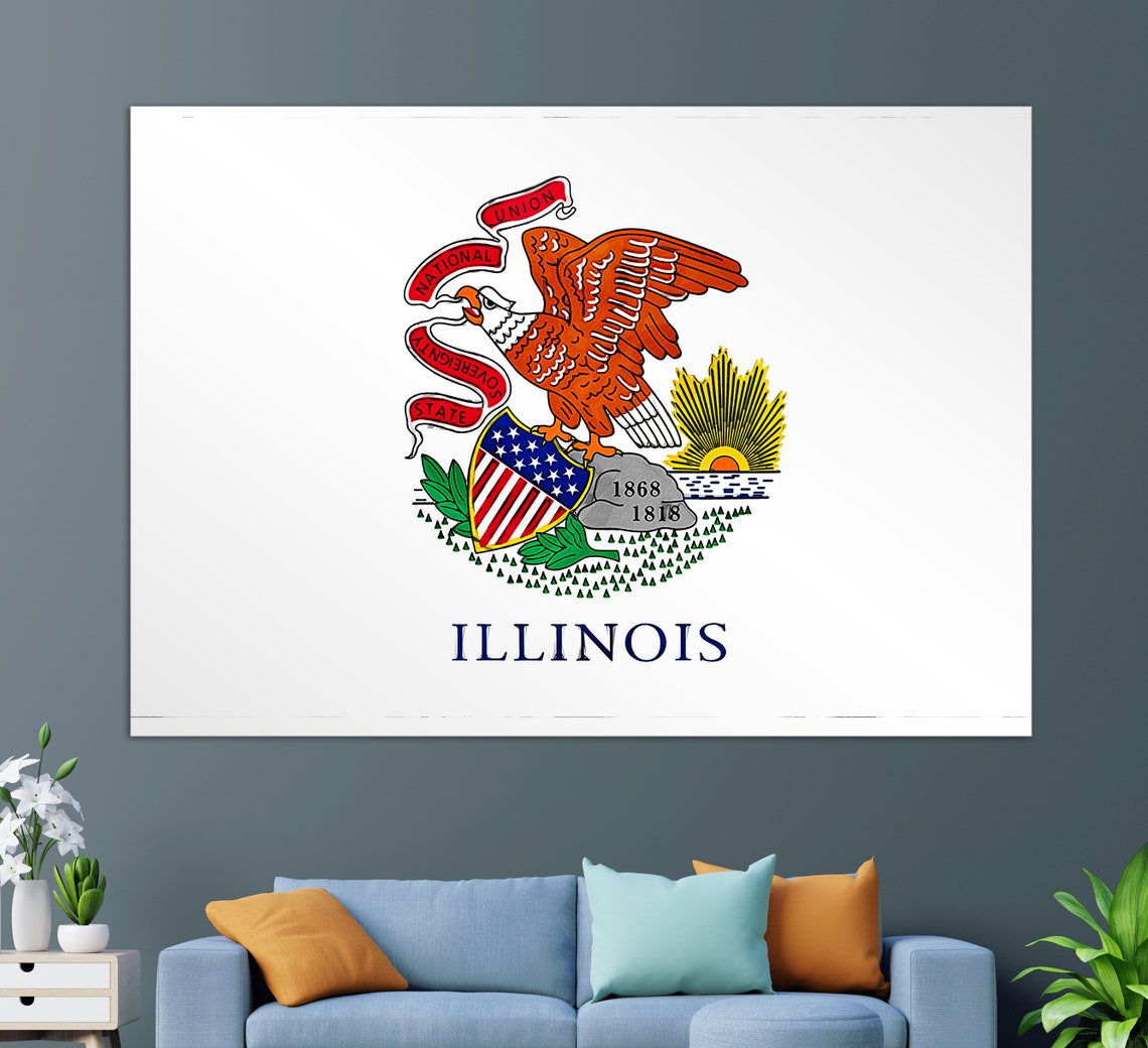 Illinois State Flag Art Print
