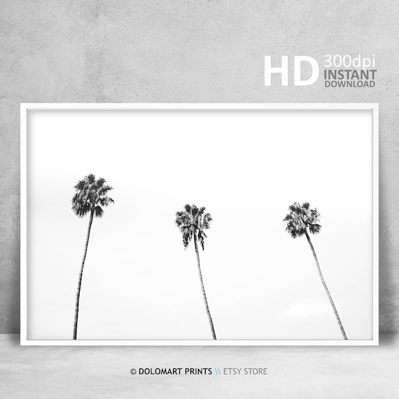 Palm Tree Print Tropical Wall Art Decor Black And White Palm Tree Photography Large Poster Beach Plant Decor