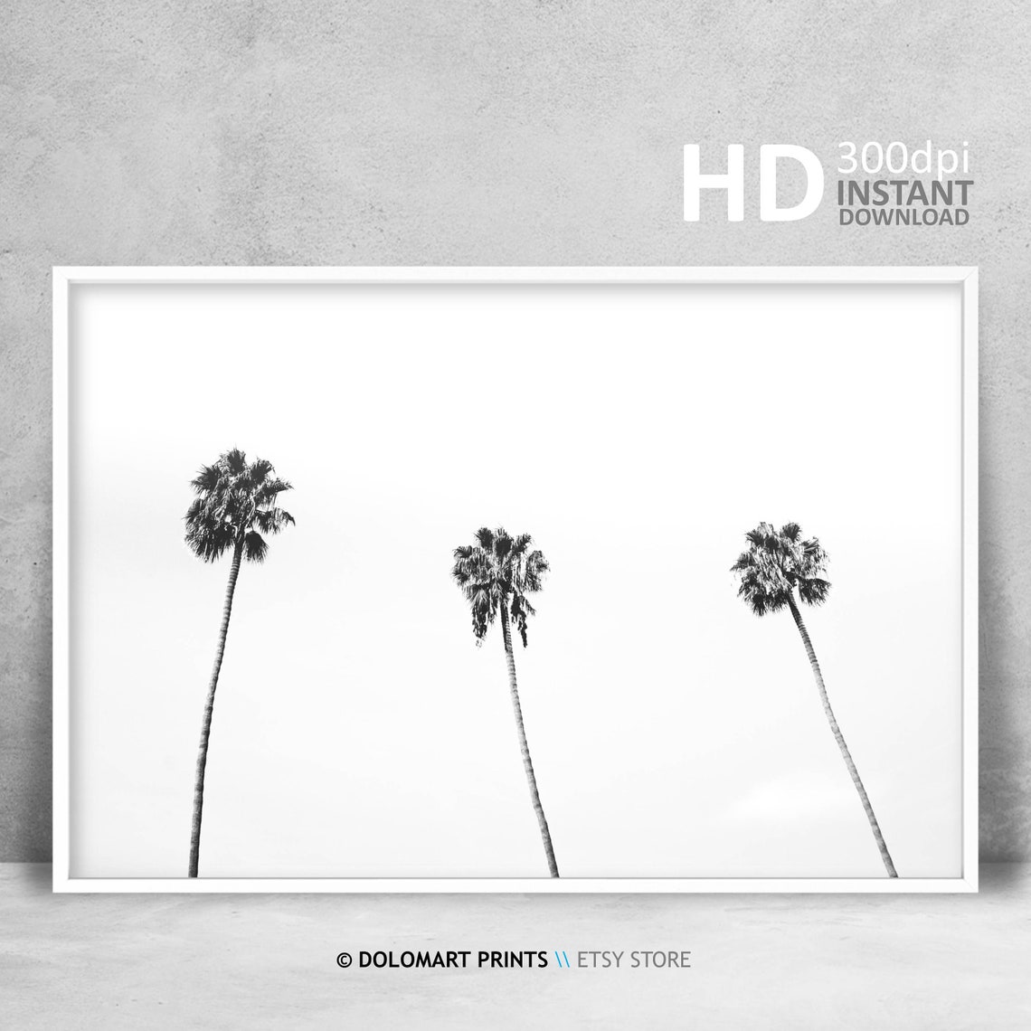 Three Palm Trees Black And White Minimal Tropical Photo Poster