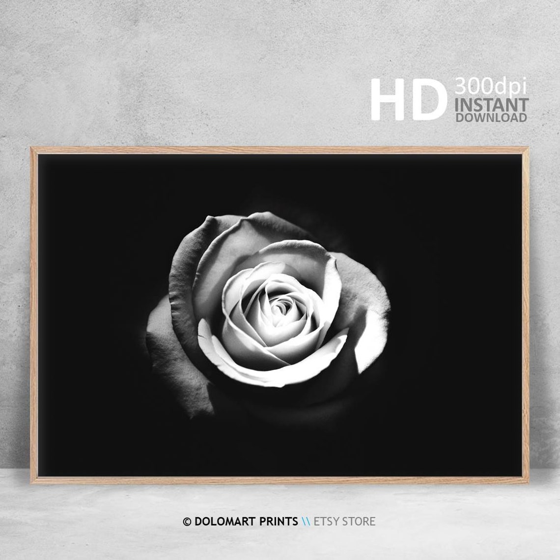 Black And White Rose Flower Close Up Dramatic Botanical Poster - Image 4