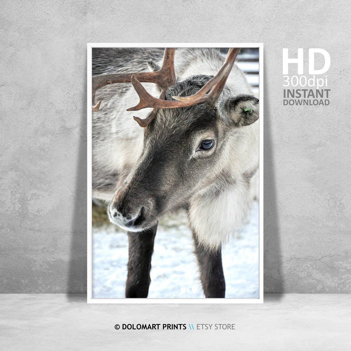 Rustic Reindeer Art Print, Christmas Holiday Decor