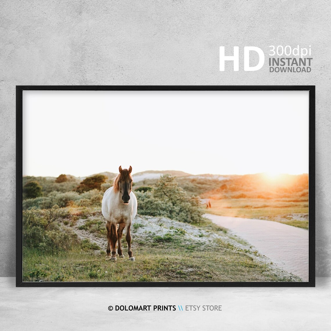 Wild Horse Print, Farmhouse Wall Art Photo - Image 4