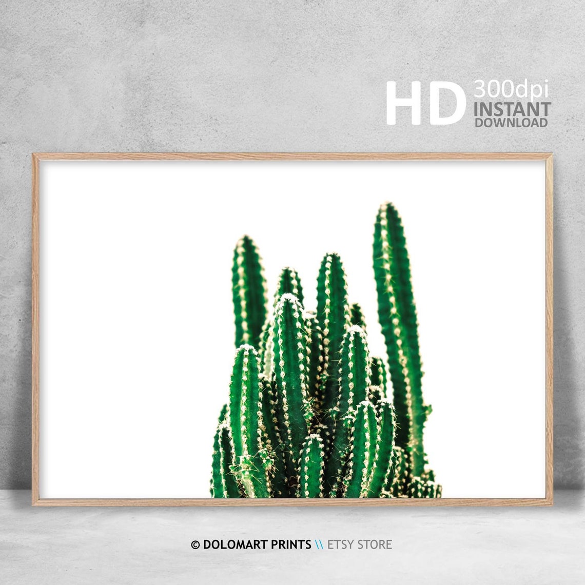 Green Cactus Cluster White Background Botanical Photo Poster - Image 3
