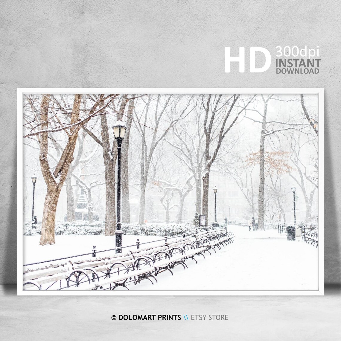 New York Central Park Under Snow Art Print