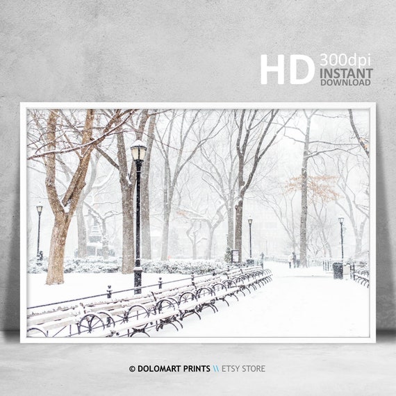 New York Central Park Under Snow Art Print