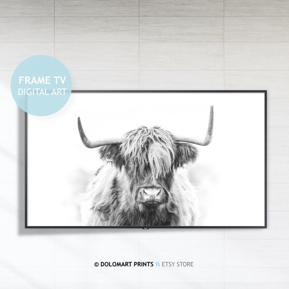Highland Cow Art Print, Farmhouse Animal Art