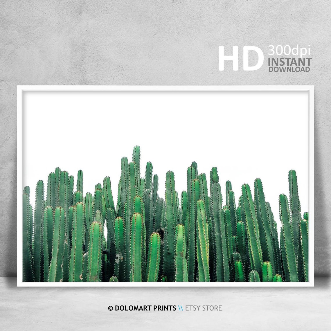 Green Cactus Columns Minimal White Background Photography Poster