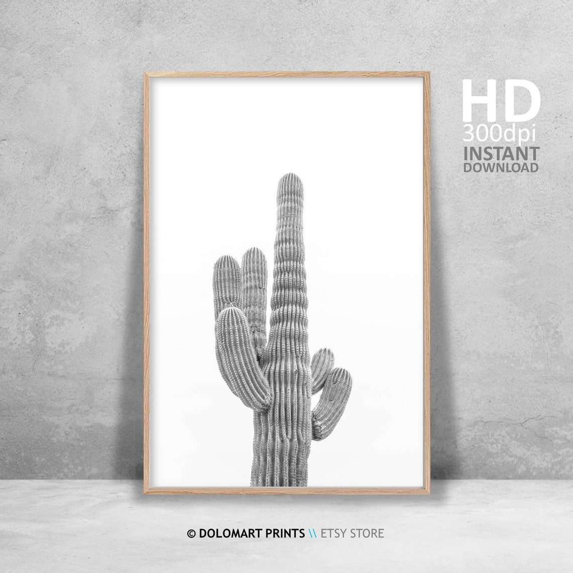 Saguaro Cactus Black And White On White Background Desert Plant Poster - Image 4