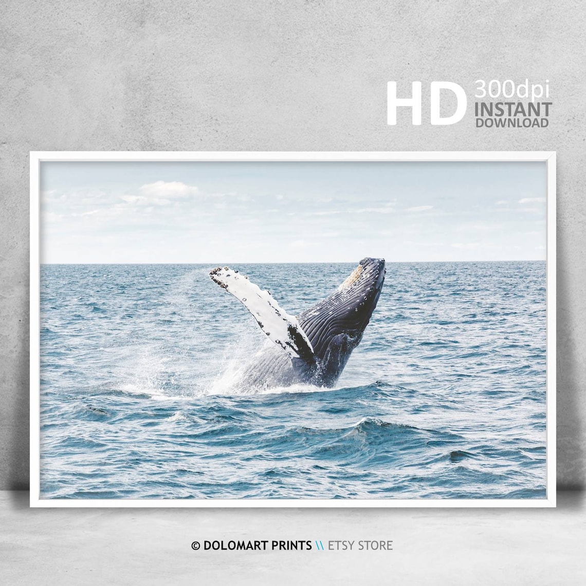 Whale Coastal Style Art Print, Beach House Decor