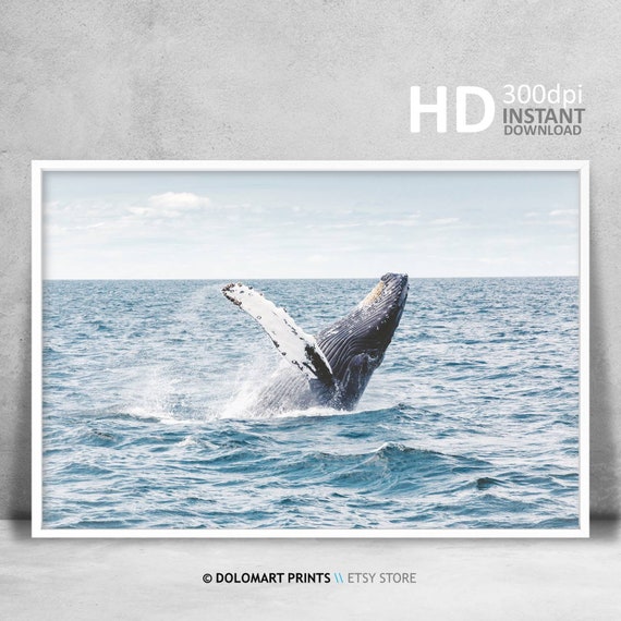 Whale Coastal Style Art Print, Beach House Decor