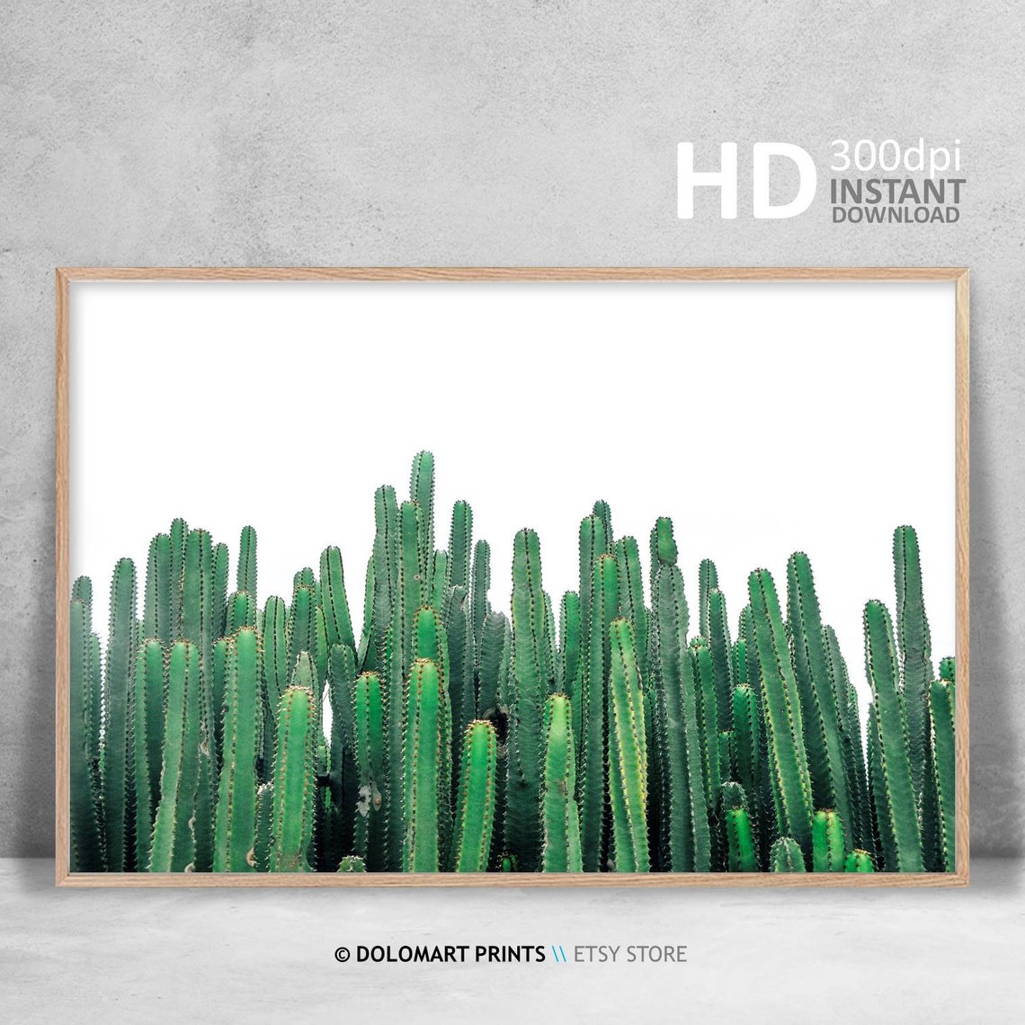 Green Cactus Columns Minimal White Background Photography Poster - Image 3