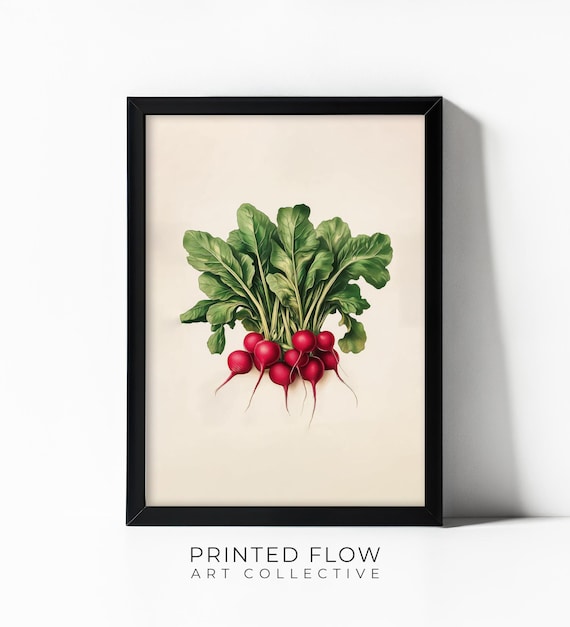 Radish Wall Art Modern Vegetable Kitchen Decor Illustration Rustic Farmhouse Style Instant Print Iv12