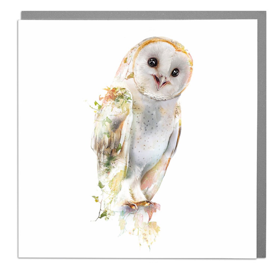 Barn Owl Watercolor Wildlife Portrait Animal Art Print Framed