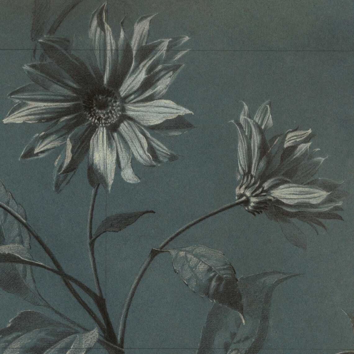 Square Vintage Floral Sketch Art Moody Blue Floral Art Print - Image 2