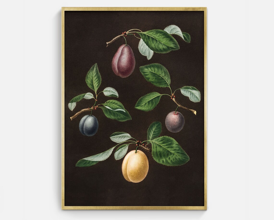 Vintage Plums Painting, Vintage Fruit Art
