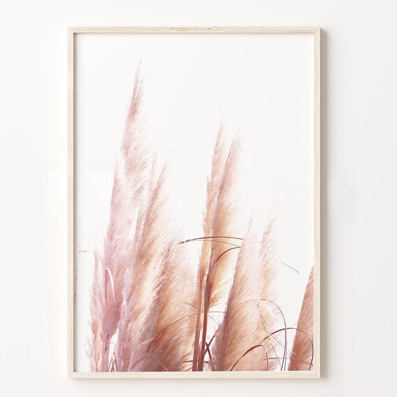 Pampas Grass Print Neutral Art Botanical Prints Photo Modern
