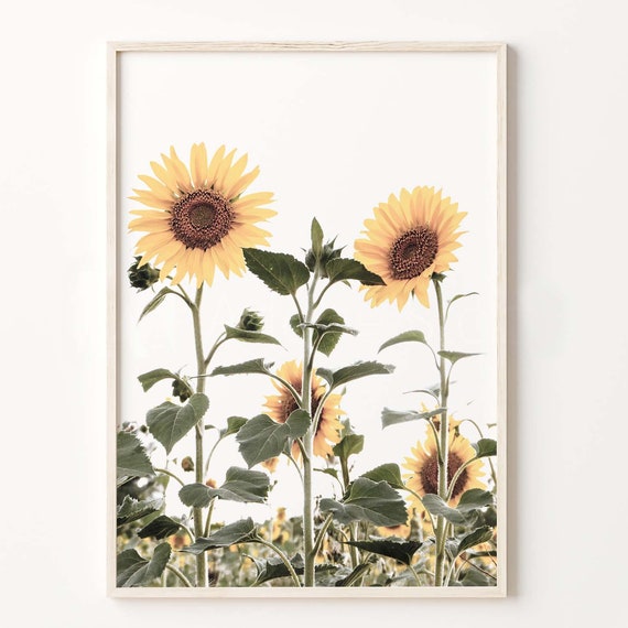 Sunflower Farmhouse Art Print, Rustic Floral Wall Art