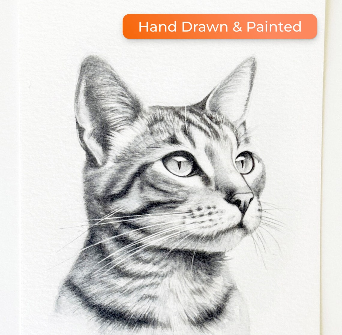 Tabby Cat Graphite Pencil Drawing Hand Drawn Custom Pet Poster