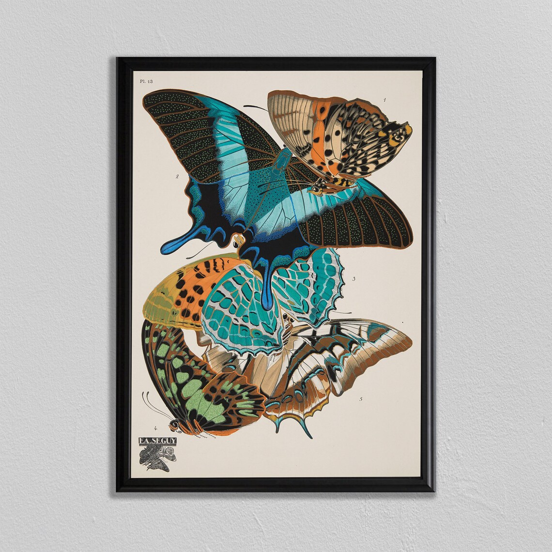 Insect Print, Bumble Bee Butterfly and Wasp Art