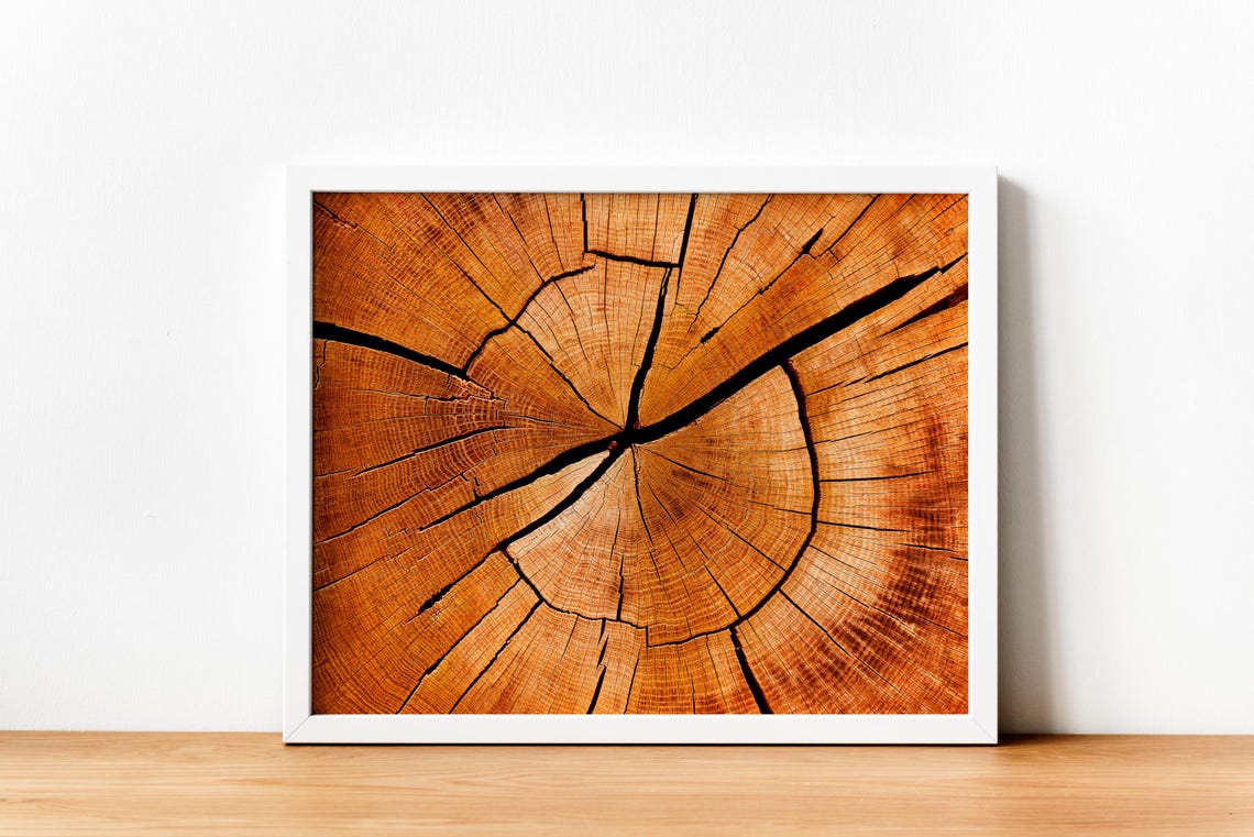 Rustic Tree Ring Cross Section Natural Wood Grain Texture Poster