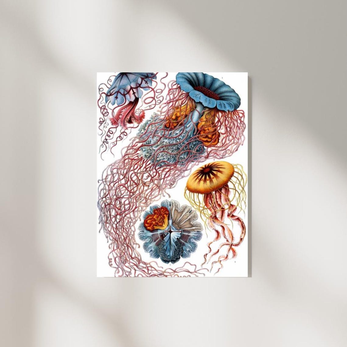 Ocean Colorful Jellyfish Wall Art Underwater Nautical Wall Art - Image 2