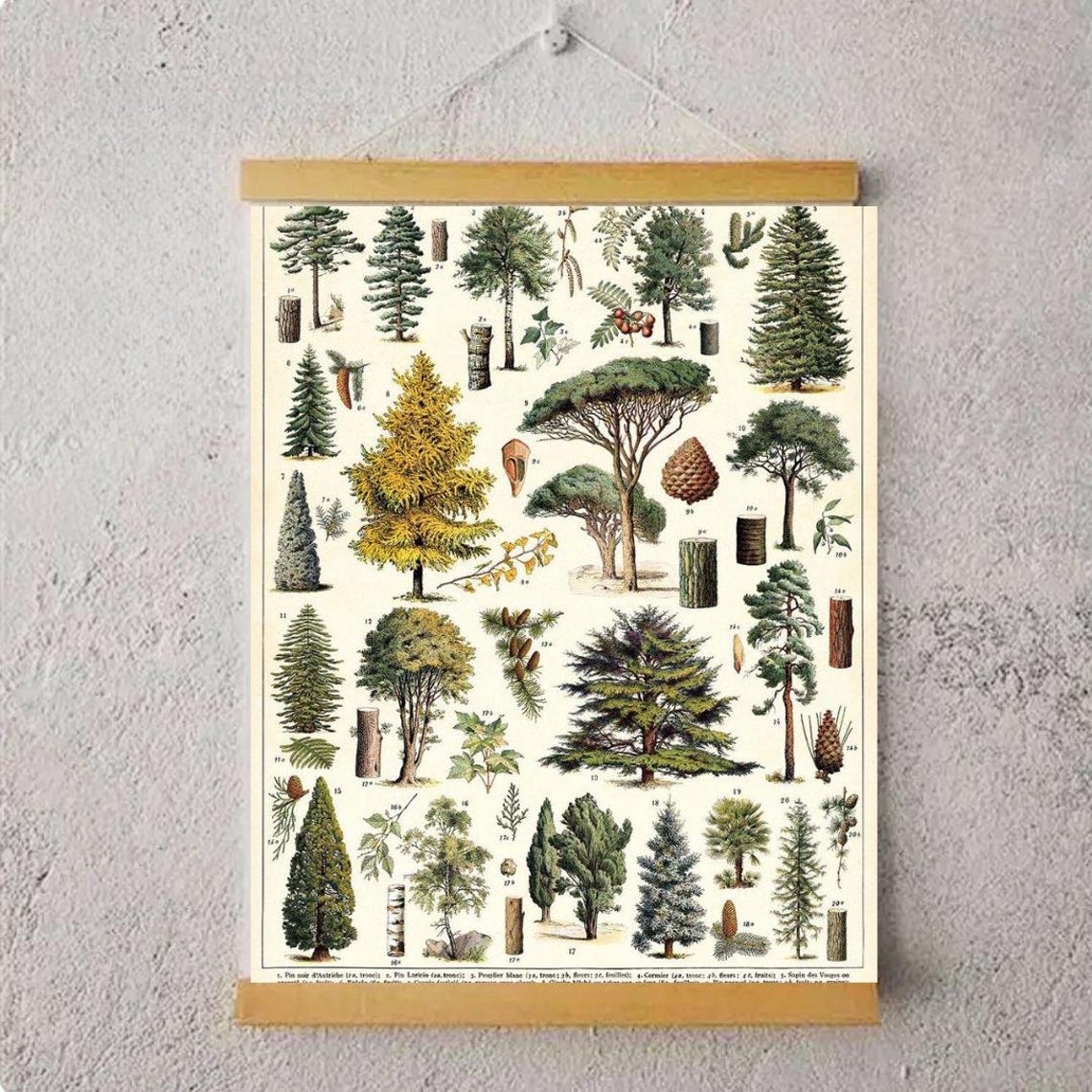 Tree Arboretum Art Decor Tree Arboretum Framed Art - Image 5