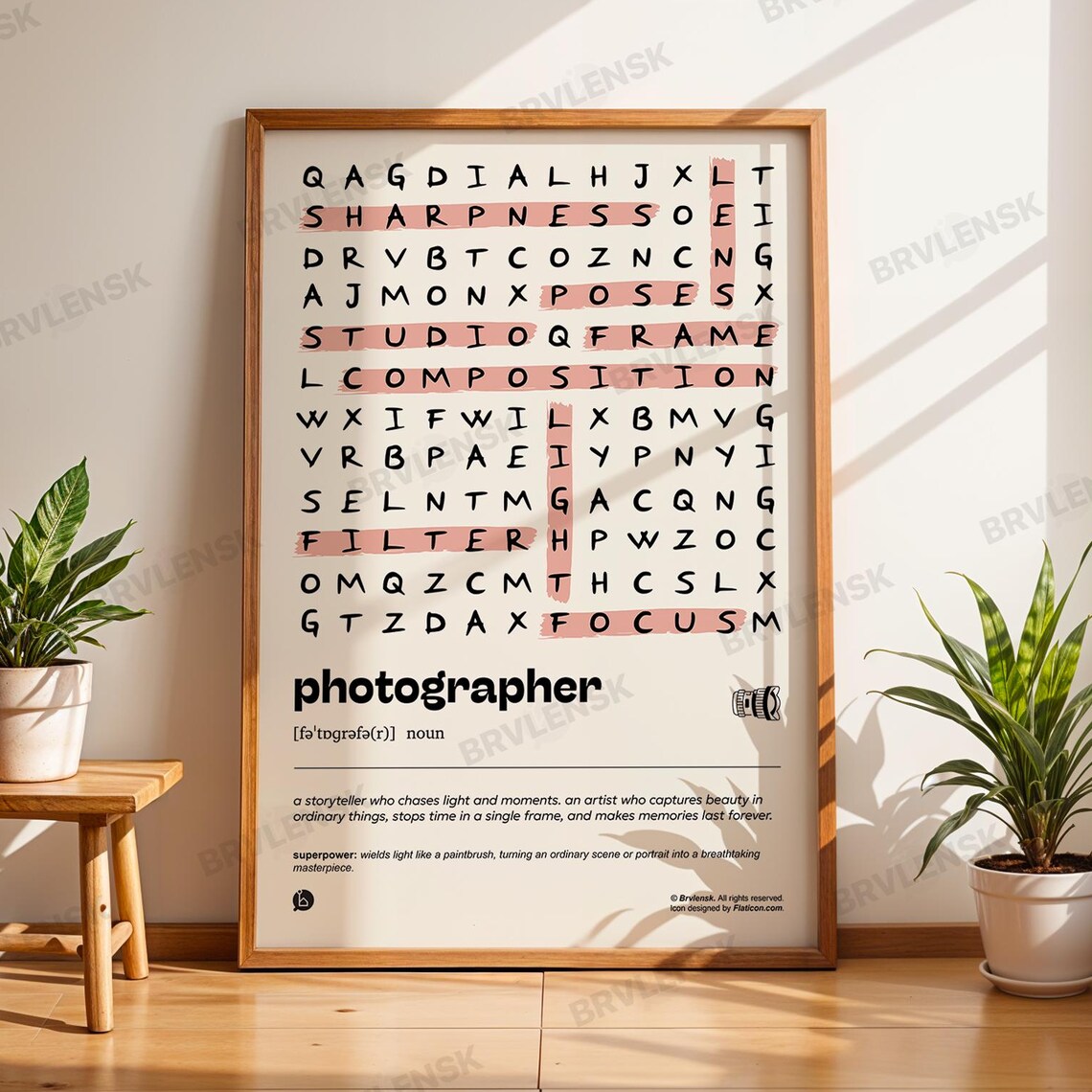 Photographer Definition Poster, Camera Lover Gift