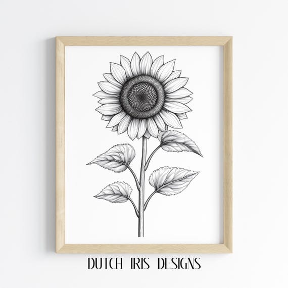 Bold Line Art Sunflower Elegant Black And White Decor Minimalist Single Flower Drawing Wall For Home Print 505