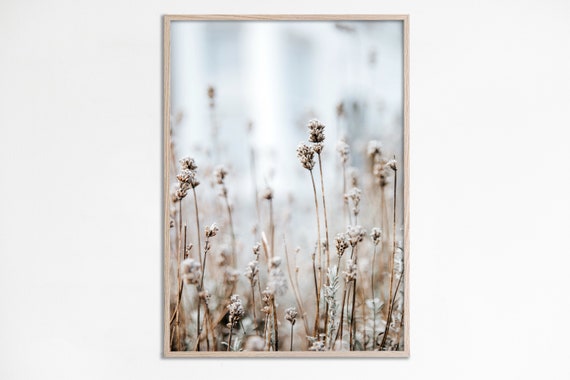 Wildflowers Photography Neutral Farmhouse Art Print