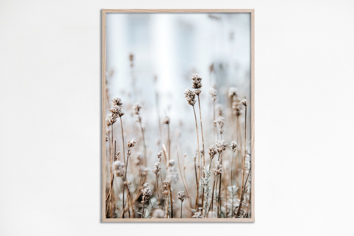 Wildflowers Photography Neutral Farmhouse Art Print