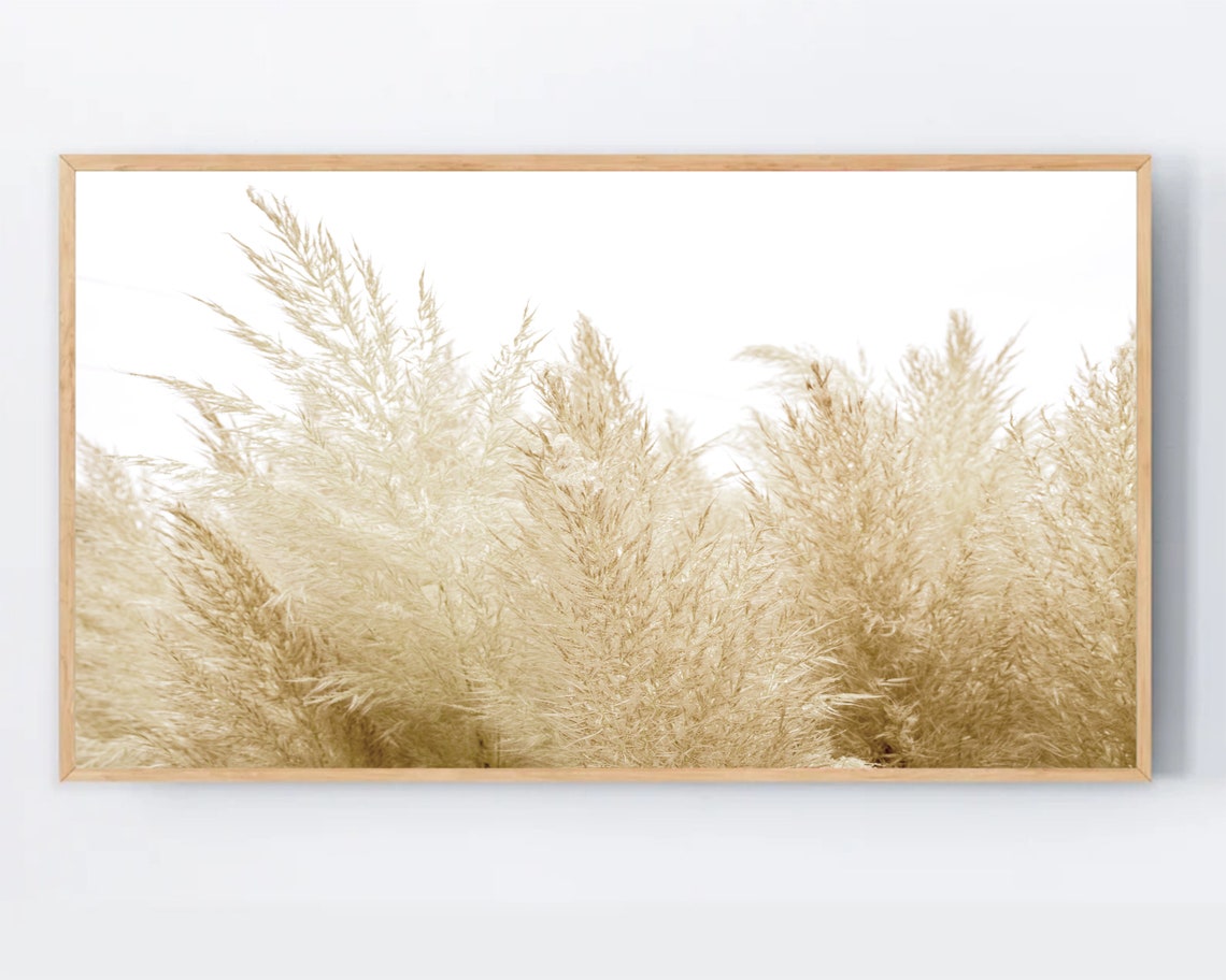 Modern Pampas Grass Neutral Botanical Photo Print for Boho Decor