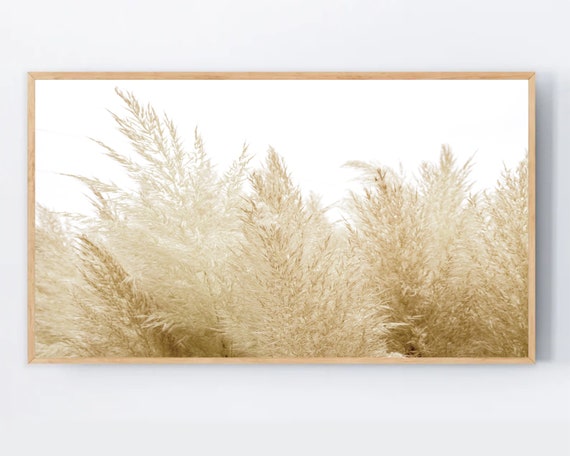 Samsung Frame Tv Art Pampas Grass Bohemian Farmhouse Modern Neutral Beige Boho Decor Dry Photo Botanical Wall