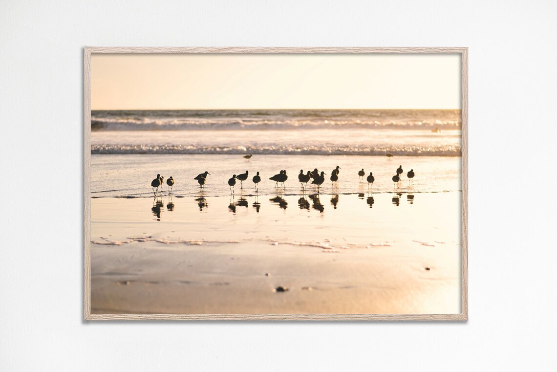 Seagulls Beach Photo Print, Modern Coastal Poster