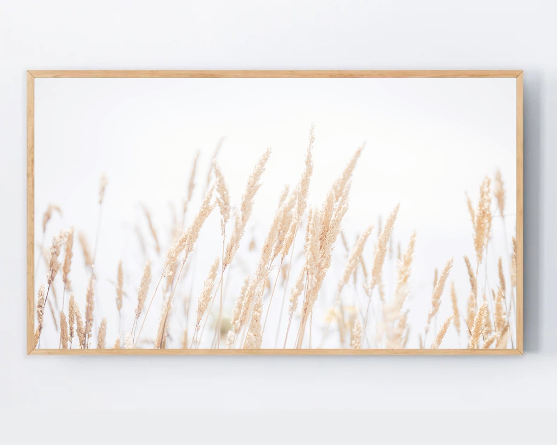 Pampas Grass Dried Flowers Neutral Minimal Boho Photo Poster