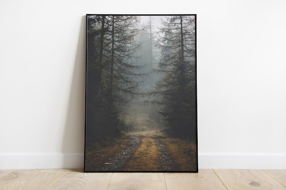 Misty Path In The Woods Mountain Landscape Art Print