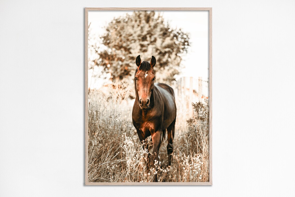 Brown Horse Art Print, Bohemian Farmhouse Decor