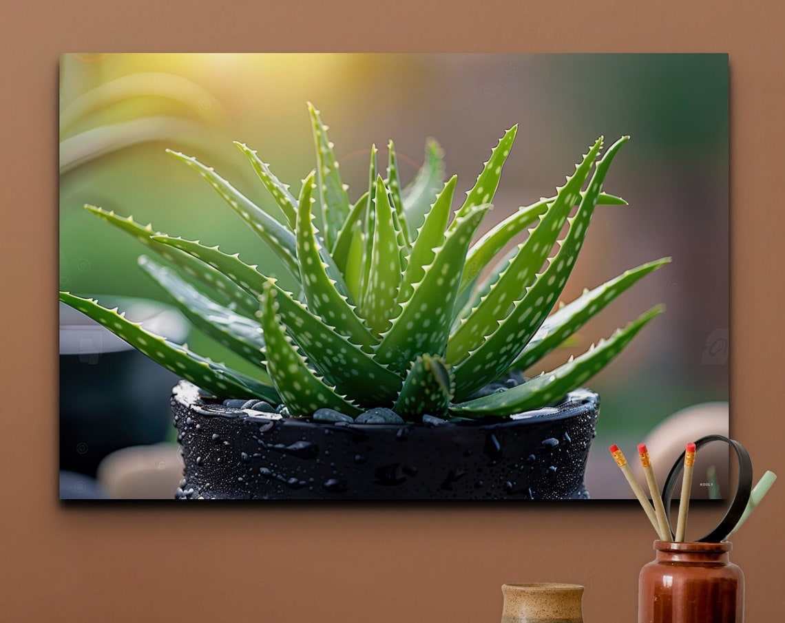 Potted Aloe Vera Succulent Black Pot Fresh Green Botanical Wall Art