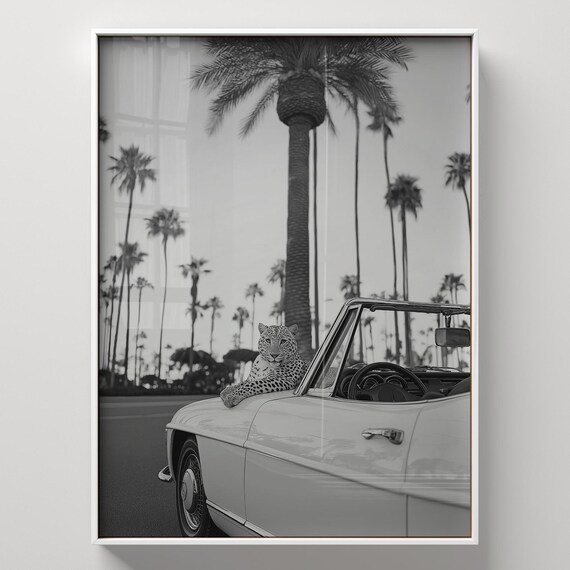Black And White Print Vintage Palm Springs Poster Living Room Swimming Pool Retro Leopard Photography Art