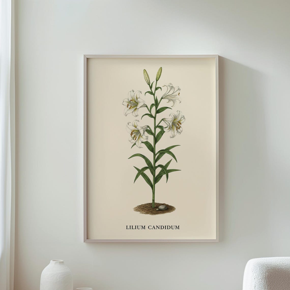 Lilium Candidum White Lily Vintage Botanical Floral Art Poster
