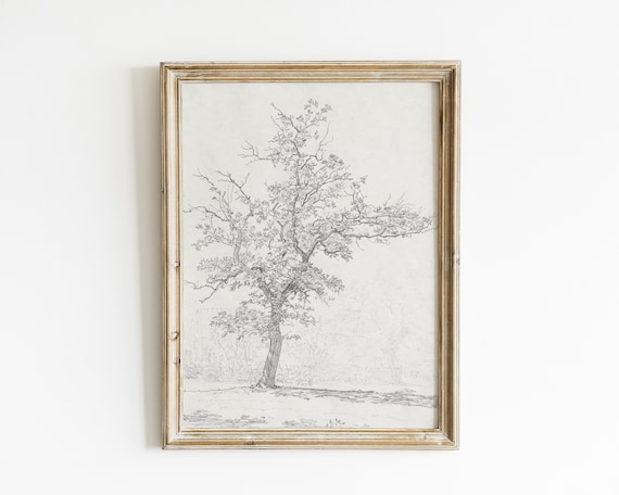 Vintage Tree Sketch Botanical Antique Art Print