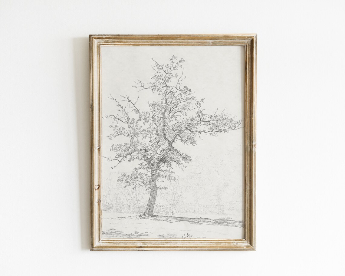 Vintage Tree Sketch Botanical Antique Art Print