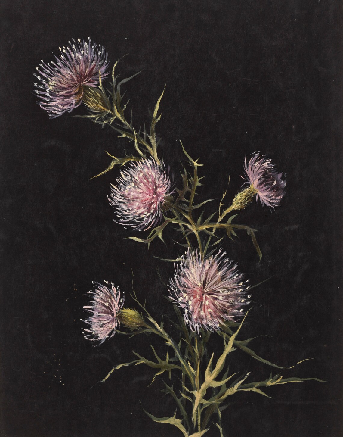Dark Floral Moody Flower Still Life Art Print - Image 3