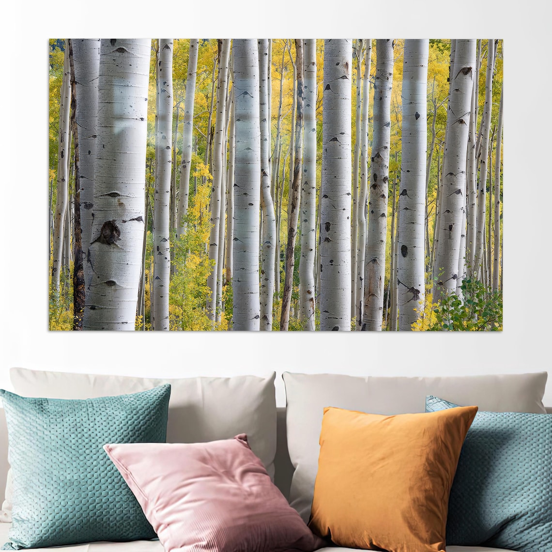 White Birch Forest with Golden Autumn Leaves Nature Photography Poster